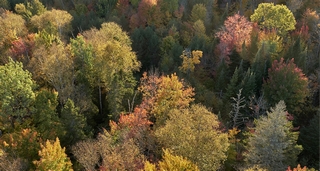 Mont-tremblant    |   25  /  27    |